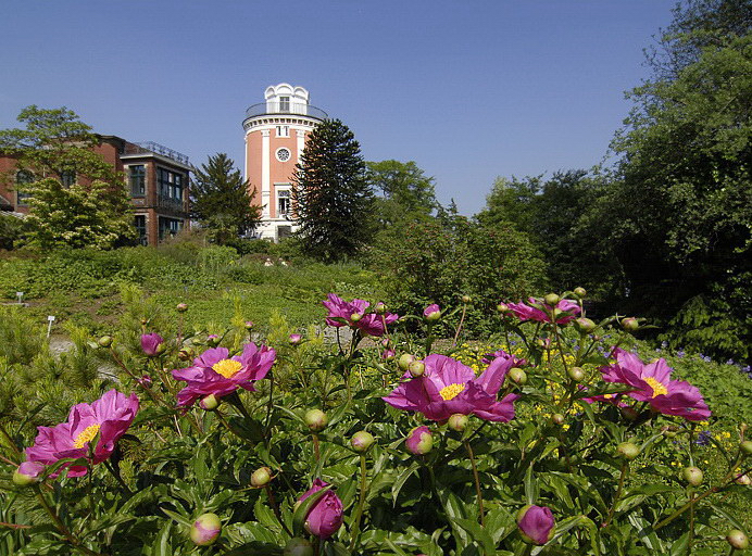 WTL Garten_DDD9592.jpg - Elisenturm - Botanischer Garten